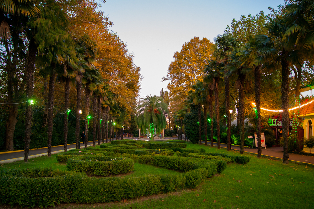 Отдых с вековой историей: чем заняться в парке «Ривьера»