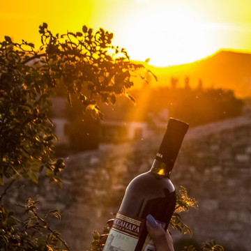 Автобусная экскурсия «Ода виноградной лозе» с дегустацией вин со скидкой 20%