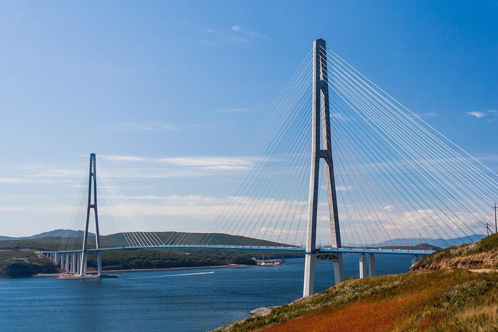 IOWA и «Город 312» приедут на День тигра во Владивостоке