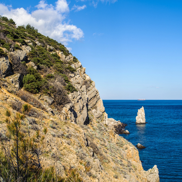Обзорная автобусно-пешеходная экскурсия «Исторический центр Алупки»