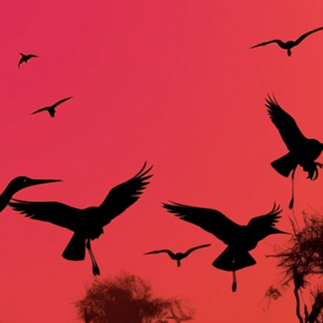 Концерт «Проект «Ностальгия». Шедевры Джо Дассена, Демиса Руссоса, Шарля Азнавура» со скидкой 40%