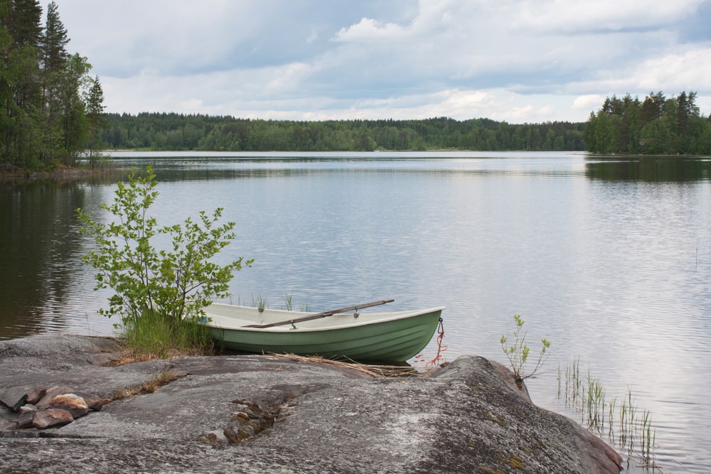 База отдыха «Сойкино»