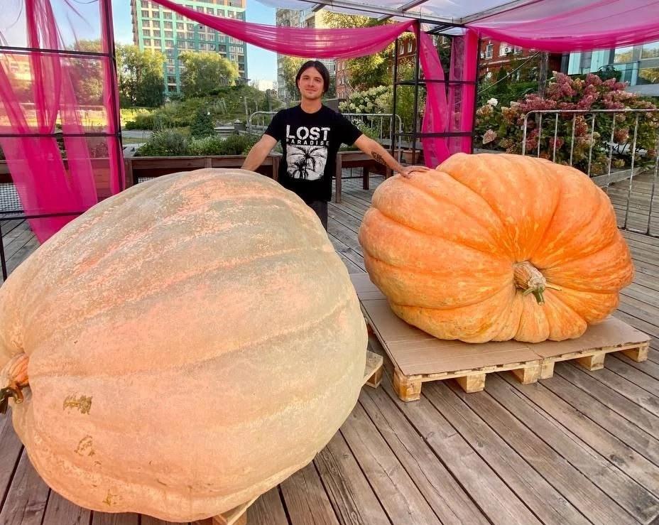 Как Александр Чусов вырастил тыкву весом более 1000 кг: интервью