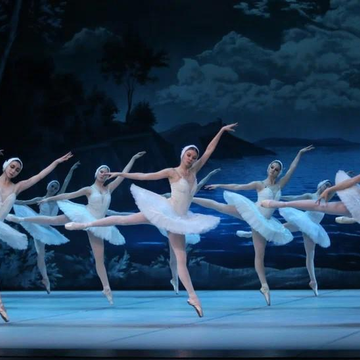 Балет «Лебединое озеро» в Эрмитажном театре со скидкой 20%