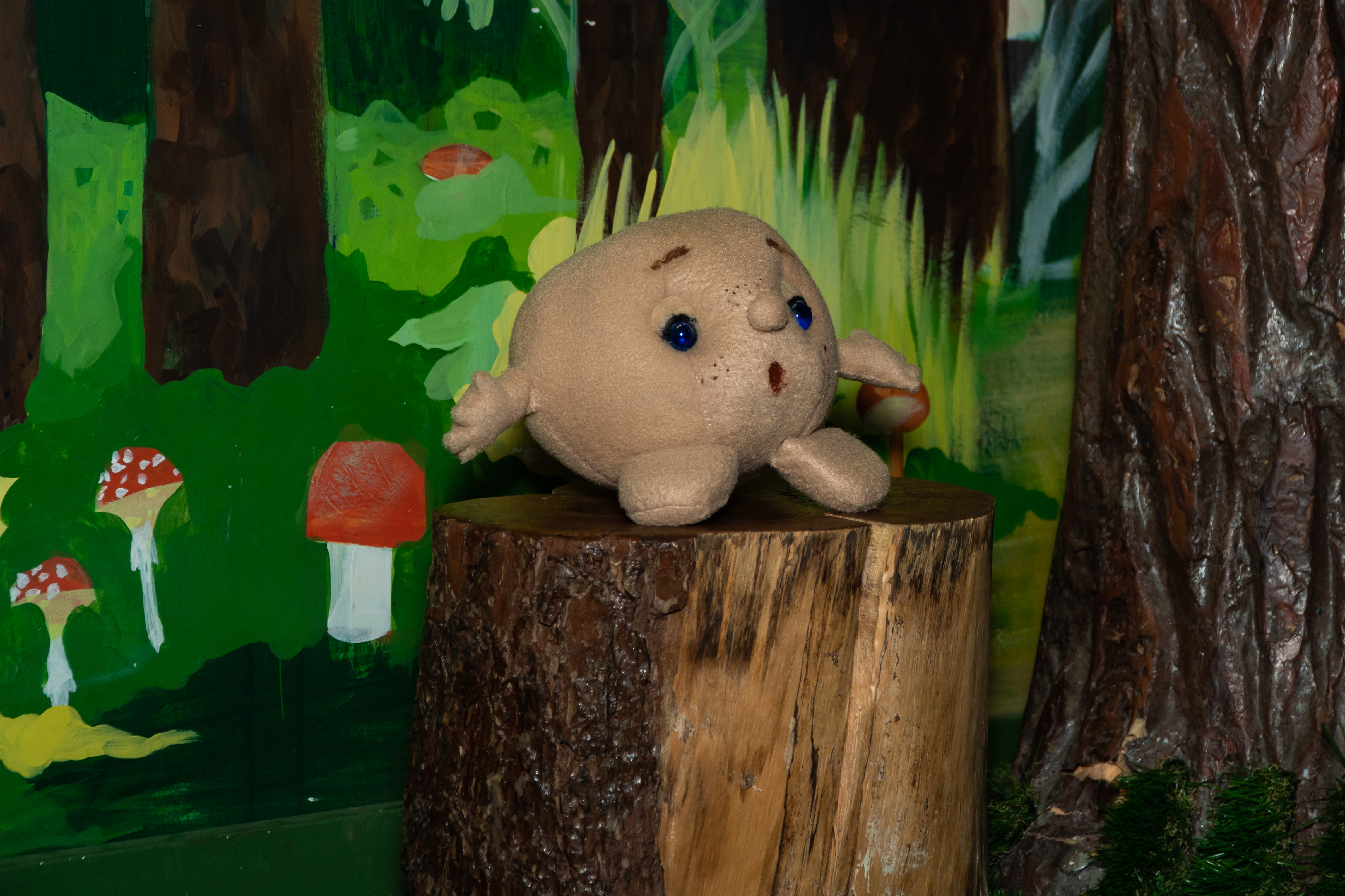 picture