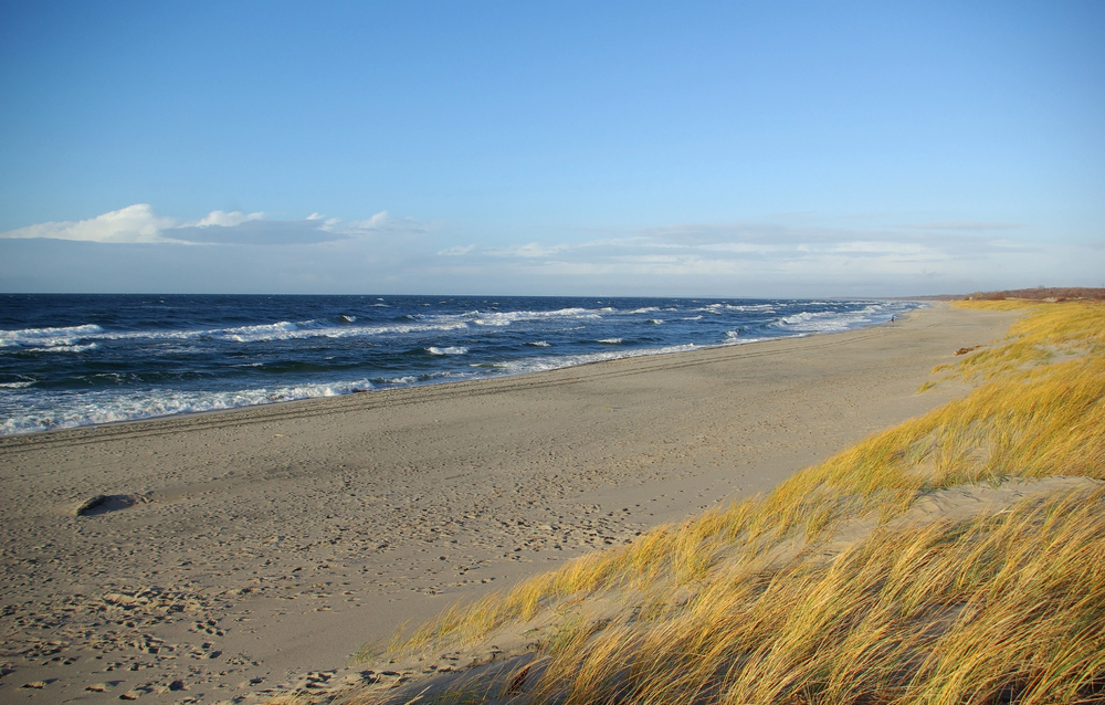 Автобусно-пешеходная экскурсия «Куршская и Балтийская коса за 1 день» со скидкой 20%