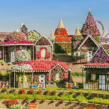 Парк цветов Miracle Garden и ярмарка Global Village из Аджмана