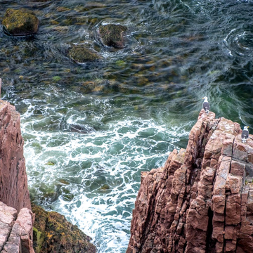 Трёхдневный тур «Кировск — Териберка — Мурманск»