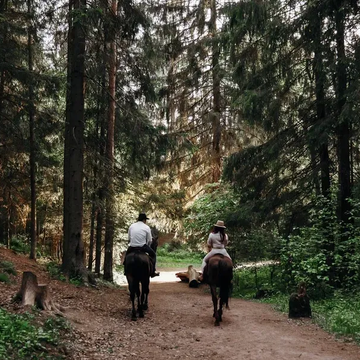 Семейная прогулка на лошадях по лесу
