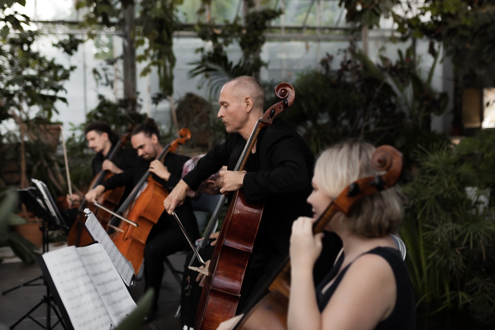 Концерт при свечах «Рок-хиты на виолончелях» в Оранжерее Таврического сада со скидкой до 35%