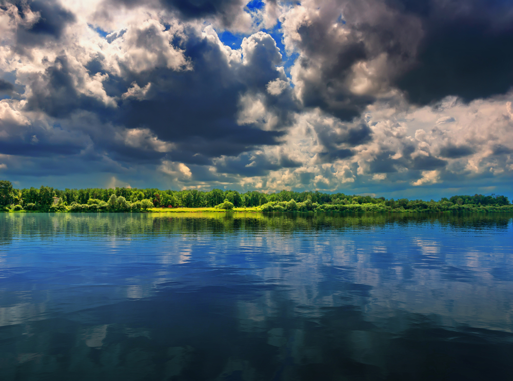 Отель «Изумрудный лес»