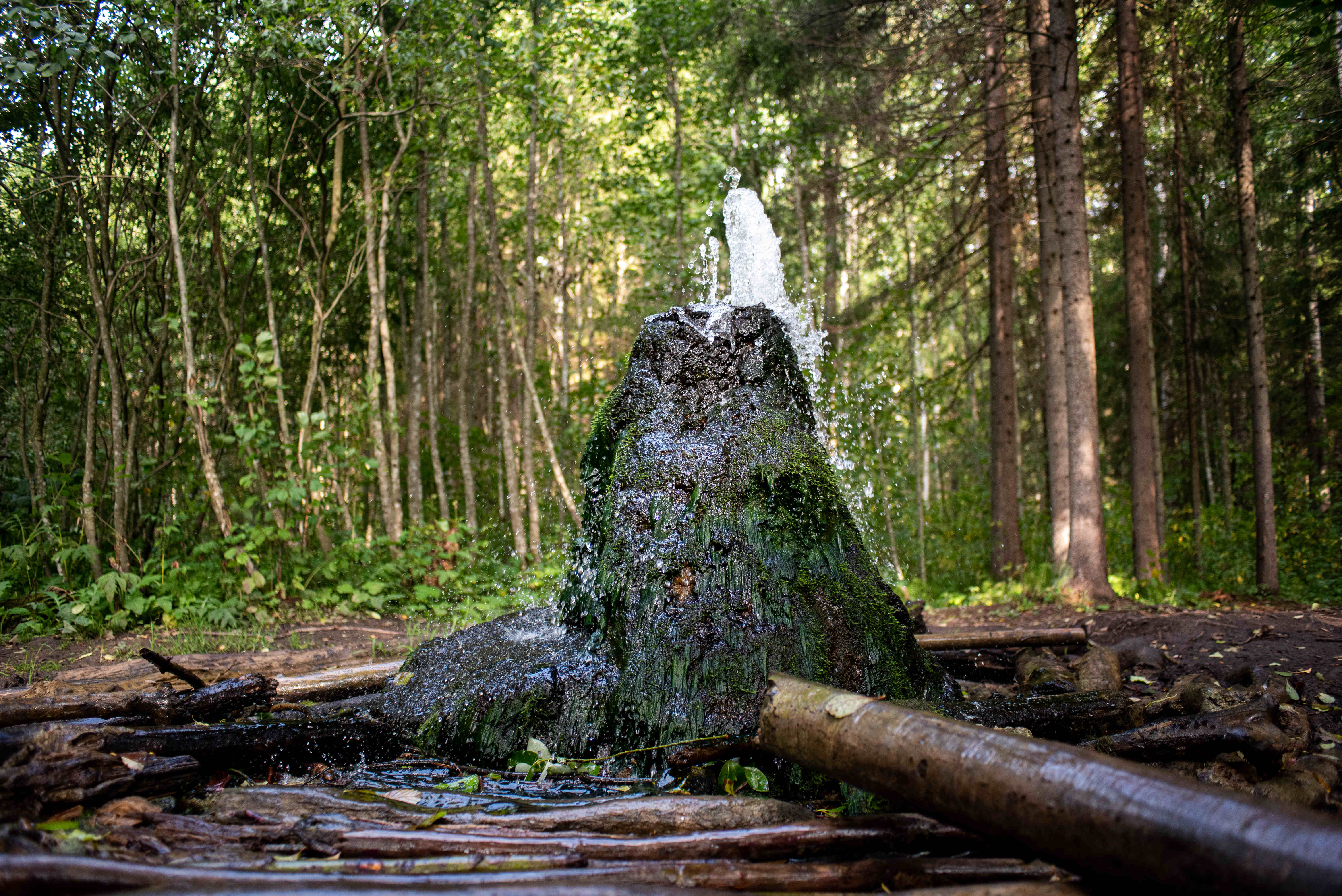 Гатчинские гейзеры: природные фонтаны Ленобласти