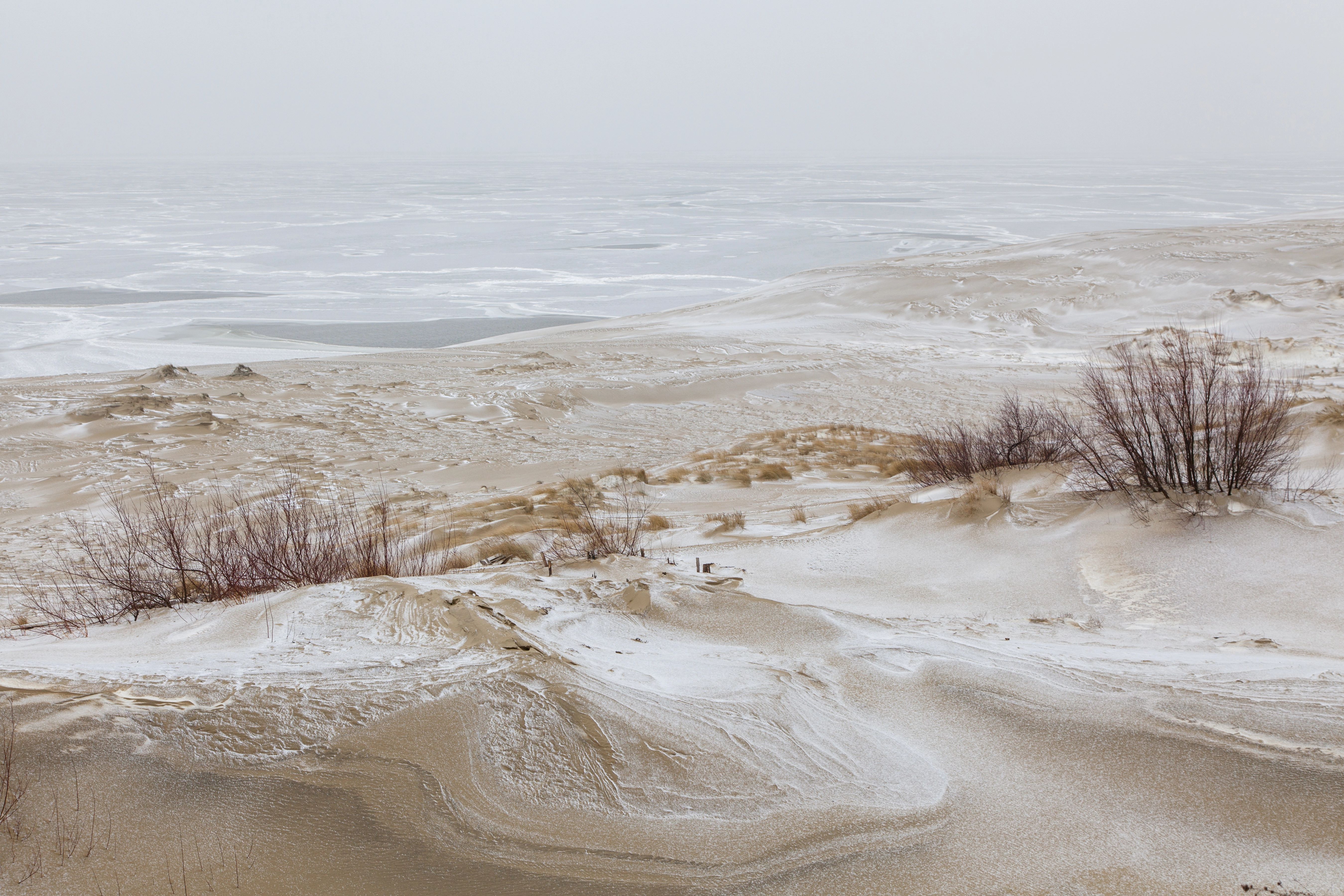 Экскурсия «Удивительная Куршская коса» в мини-группе со скидкой 20%