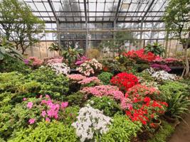 Ботанический сад Петербурга переходит на летний режим работы