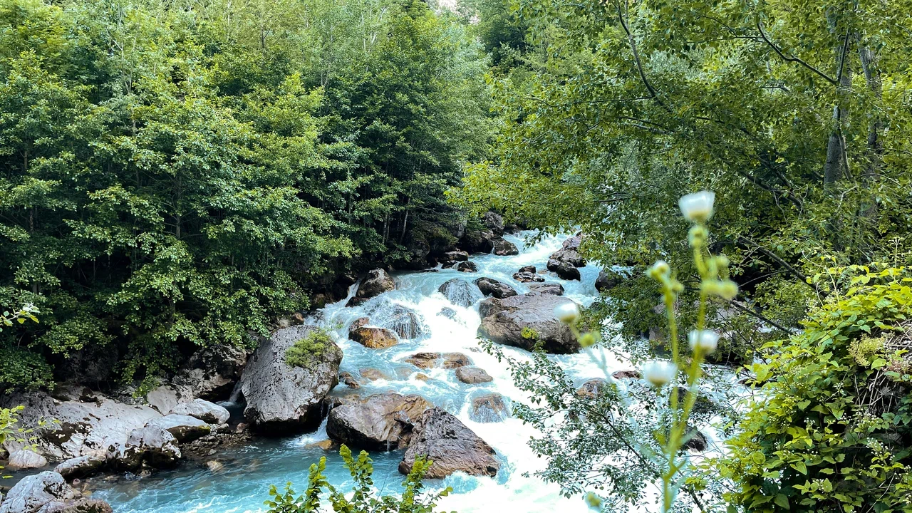 picture