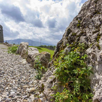 Однодневный тур в Беной