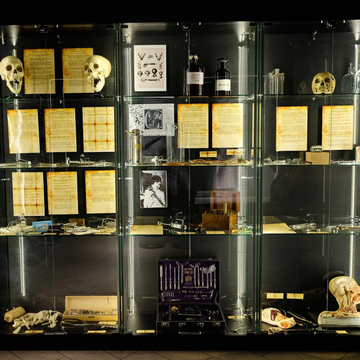 Музей Казней и пыток & Аномалии тела