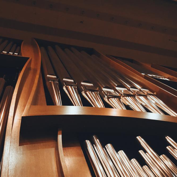 Концерт «Ангельские голоса: орган и хор мальчиков» со скидкой 40%