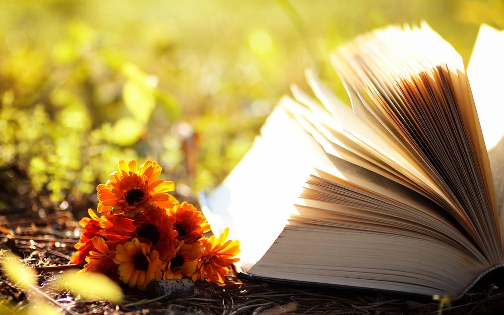 Детские книги о приключениях
