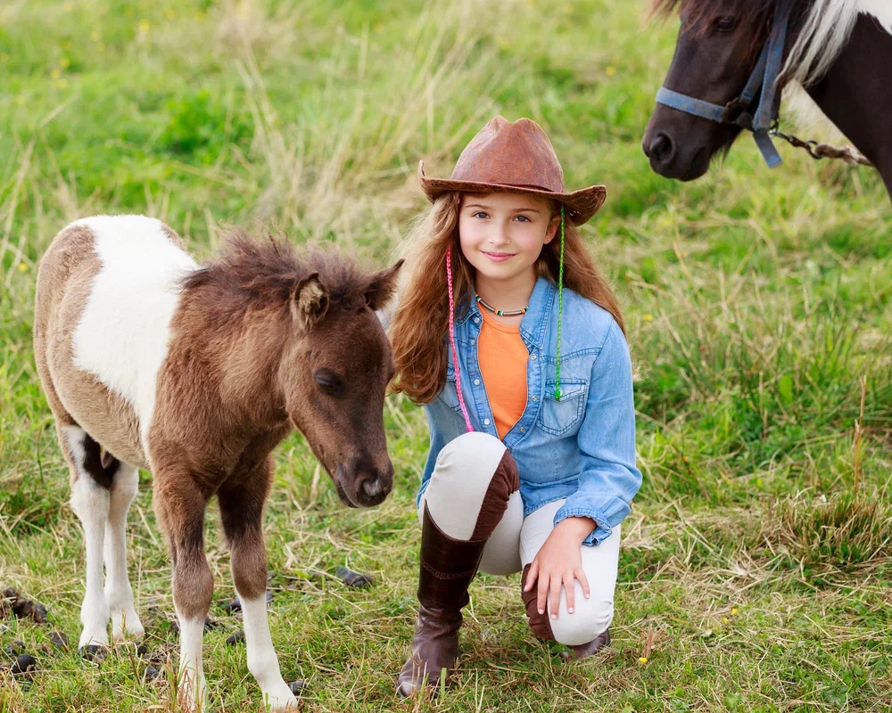 Прогулка на пони со скидкой 50%