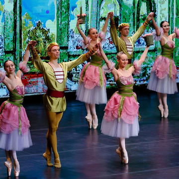 Балет «Спящая красавица» со скидкой 20%