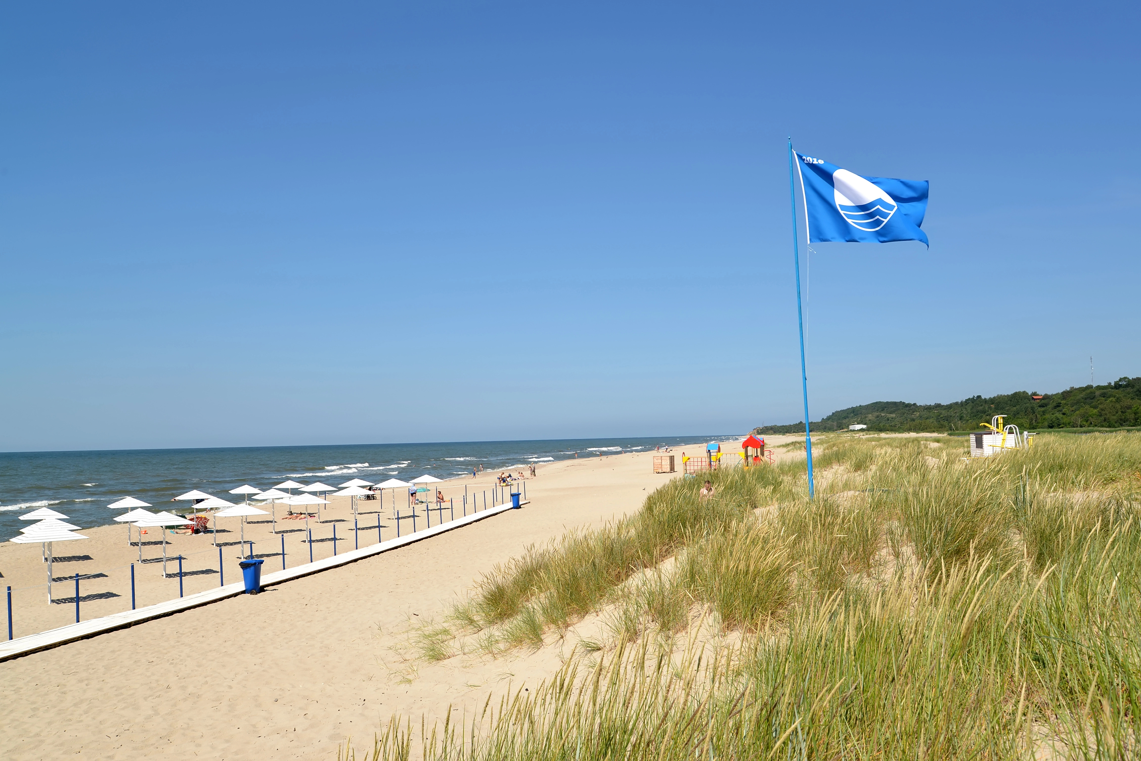 picture