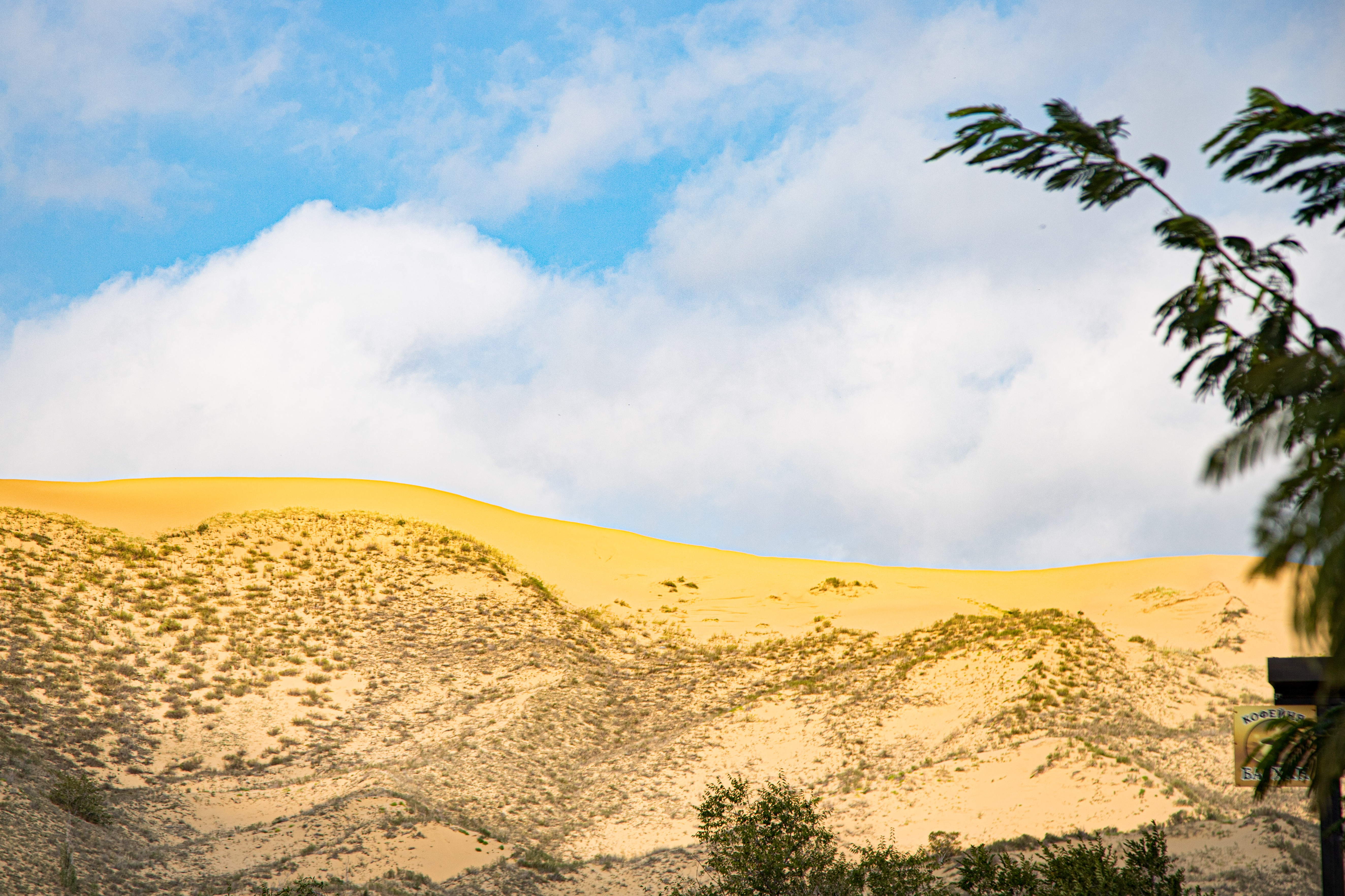 Экскурсия «Сулакский каньон и бархан Сарыкум» с обедом