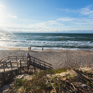 Экскурсия «Коса, коты и сыр» с дегустацией со скидкой 25%