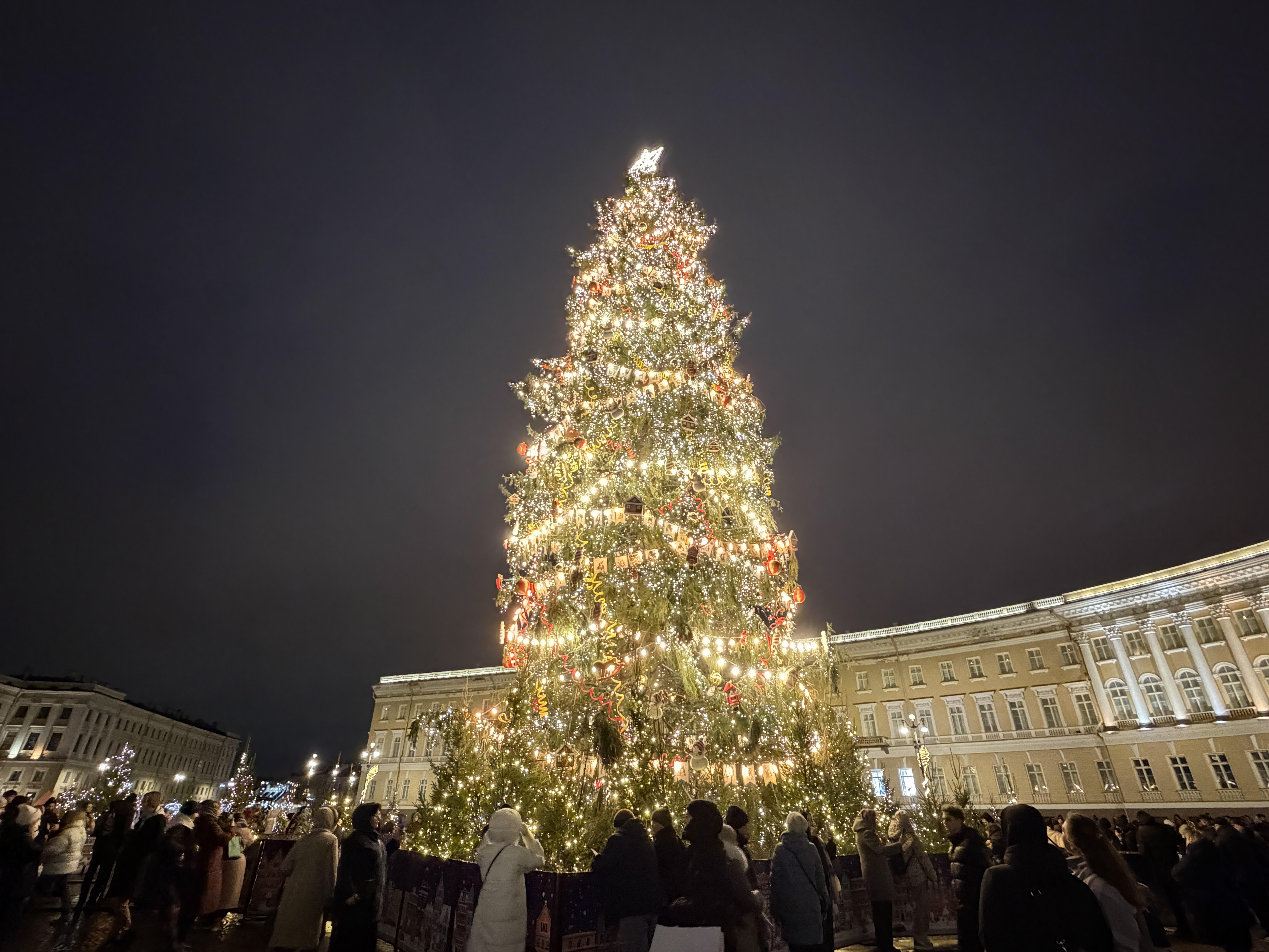 Новогодние украшения в Петербурге убрали к 22 января, а елку на Дворцовой — нет