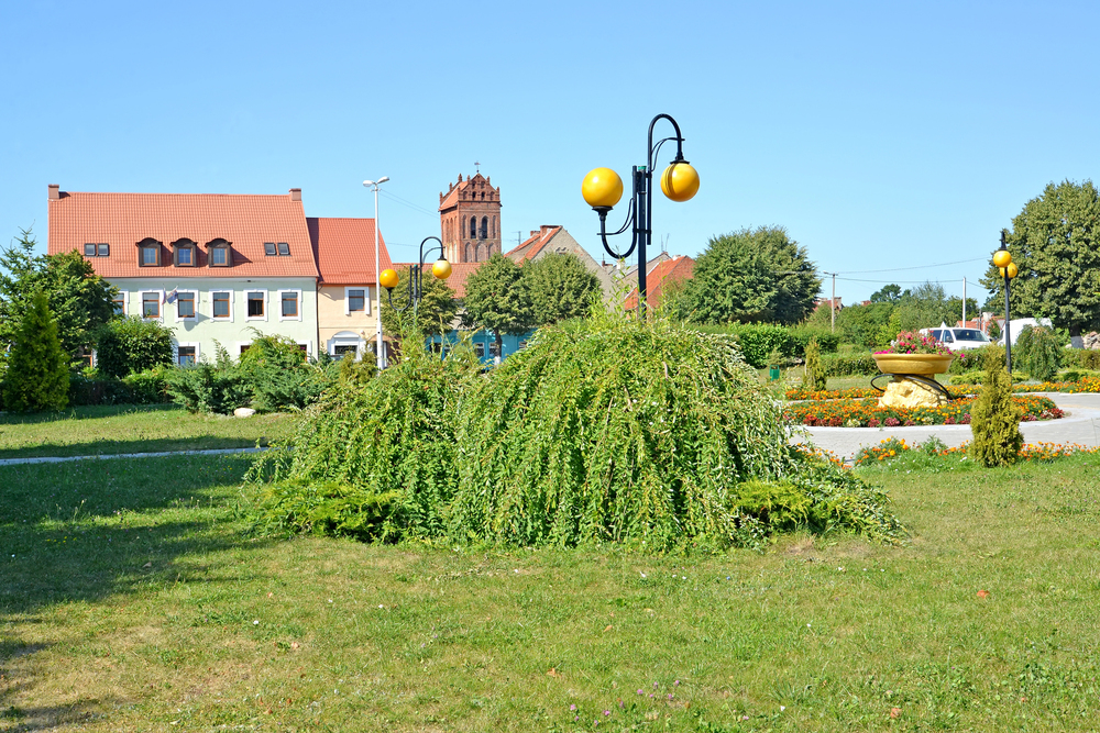 picture