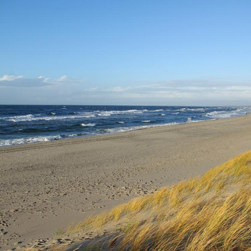 Автобусно-пешеходная экскурсия «Куршская и Балтийская коса за 1 день» со скидкой 20%