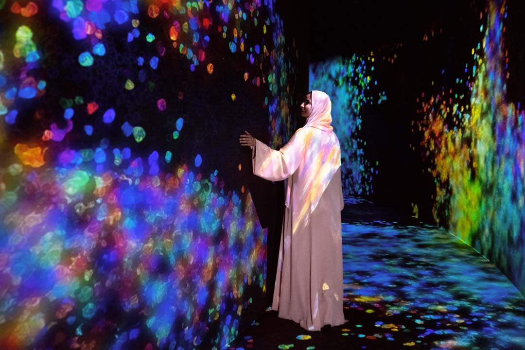 Экскурсия в галерею TeamLab Phenomena и мечеть шейха Зайда с входным билетом