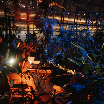 Концерт при свечах «Лара Фабиан трибьют» в Оранжерее Таврического сада со скидкой 30%