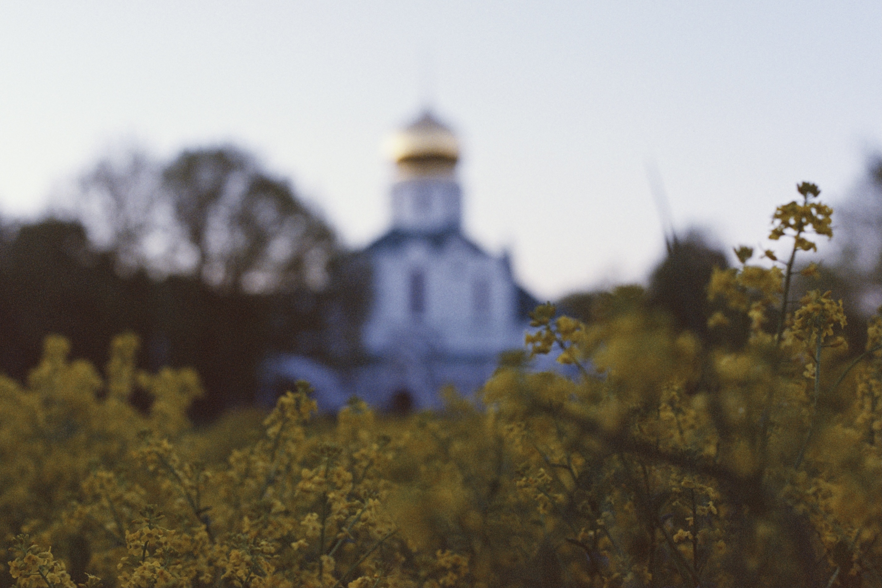 Секретные достопримечательности в Царском селе: «готическая» церковь, китайская деревня и английская дача
