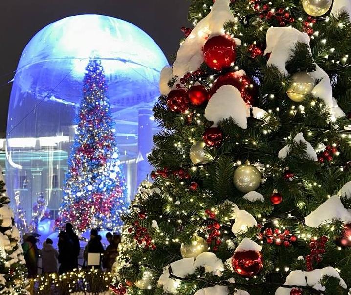 Москвичи смогут сыграть свадьбу в «Саду благодарности» 26.02.2026
