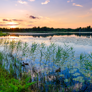 Двухдневный тур «От Причудья и Плескова к Талабским островам»