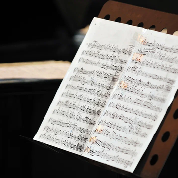 Концерт «Мюзикл "Призрак оперы". The Phantom of the Opera. Орган и солисты в соборе при свечах» со скидкой 30%