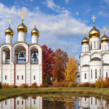 Автобусная экскурсия «Переславль-Залесский, вино, мангалица и дача Коровина»