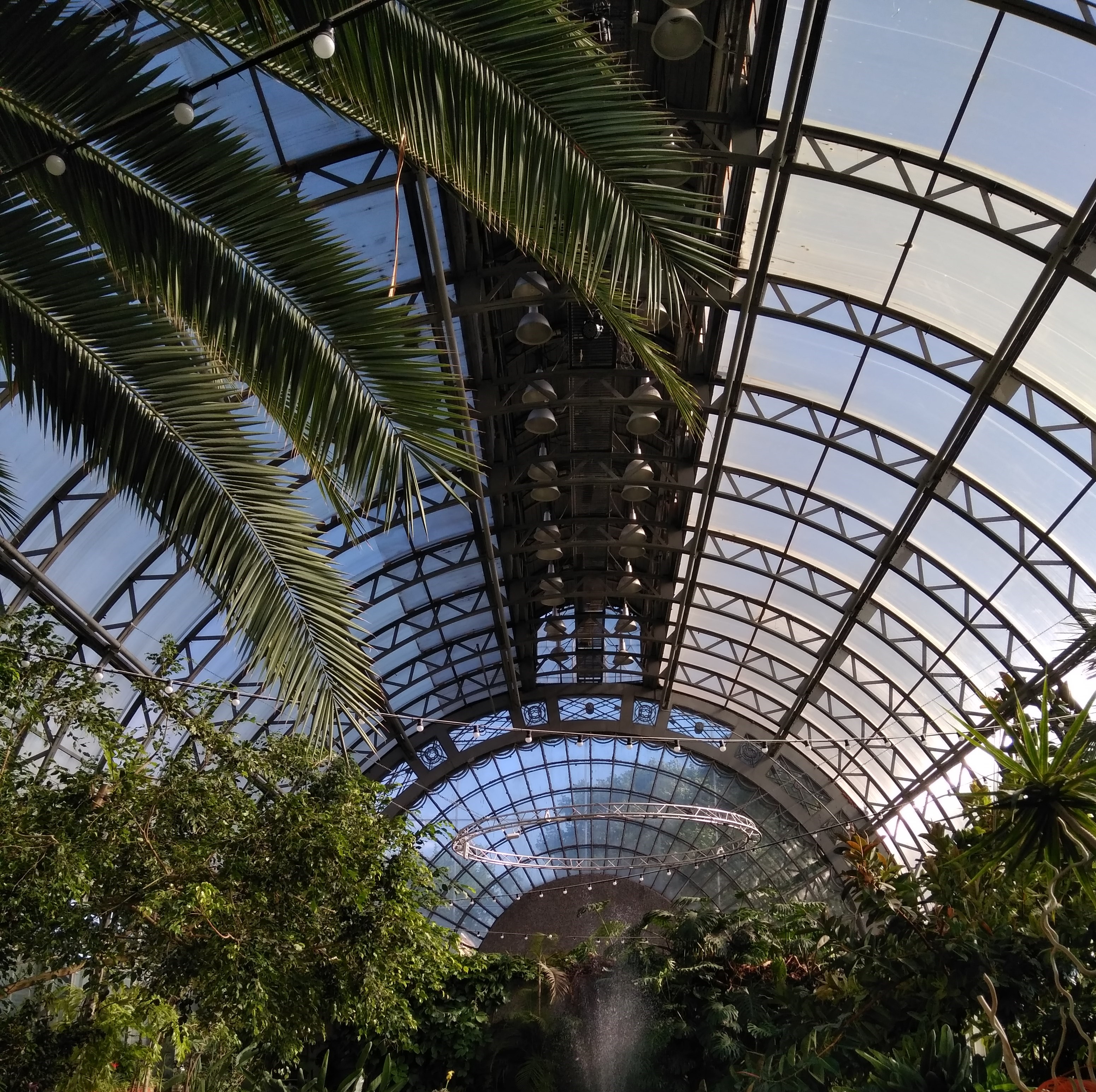 Оранжерея Таврического сада — место в Петербурге, где всегда лето