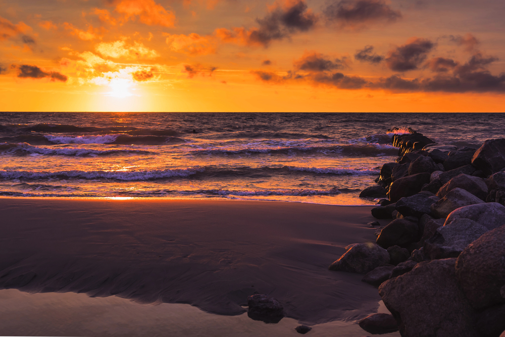 Автобусно-пешеходная экскурсия в Янтарный и Светлогорск со скидкой 20%