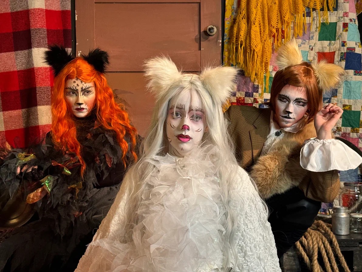 Спектакль «Дурочка» со скидкой 30%