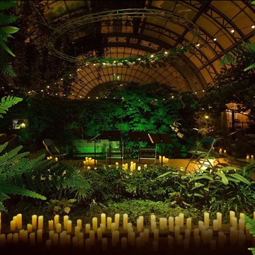 Концерт при свечах «Романтический джаз» в Оранжерее Таврического сада со скидкой 30%