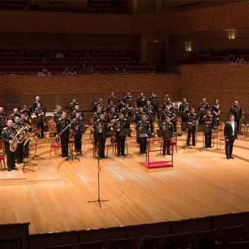 Концерт адмиралтейского оркестра военно-морской базы «Прокофьев. "Поручик Киже". Свиридов. "Метель"»