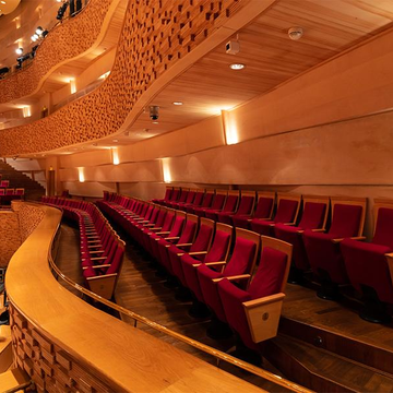 Гала-концерт фестиваля детско-юношеских оркестров «Мариинский NEXT» в Концертном зале Мариинского театра