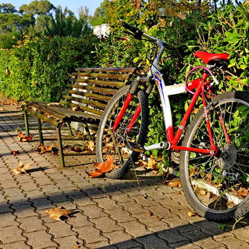 Велопрогулка по Калининграду и экскурсия в Светлогорске с обедом со скидкой 20%