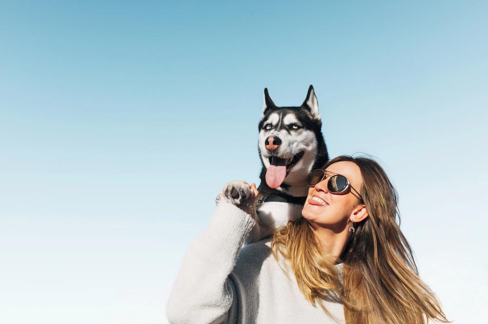 Petshop Days 2026 в СПб: бесплатные концерты, программа