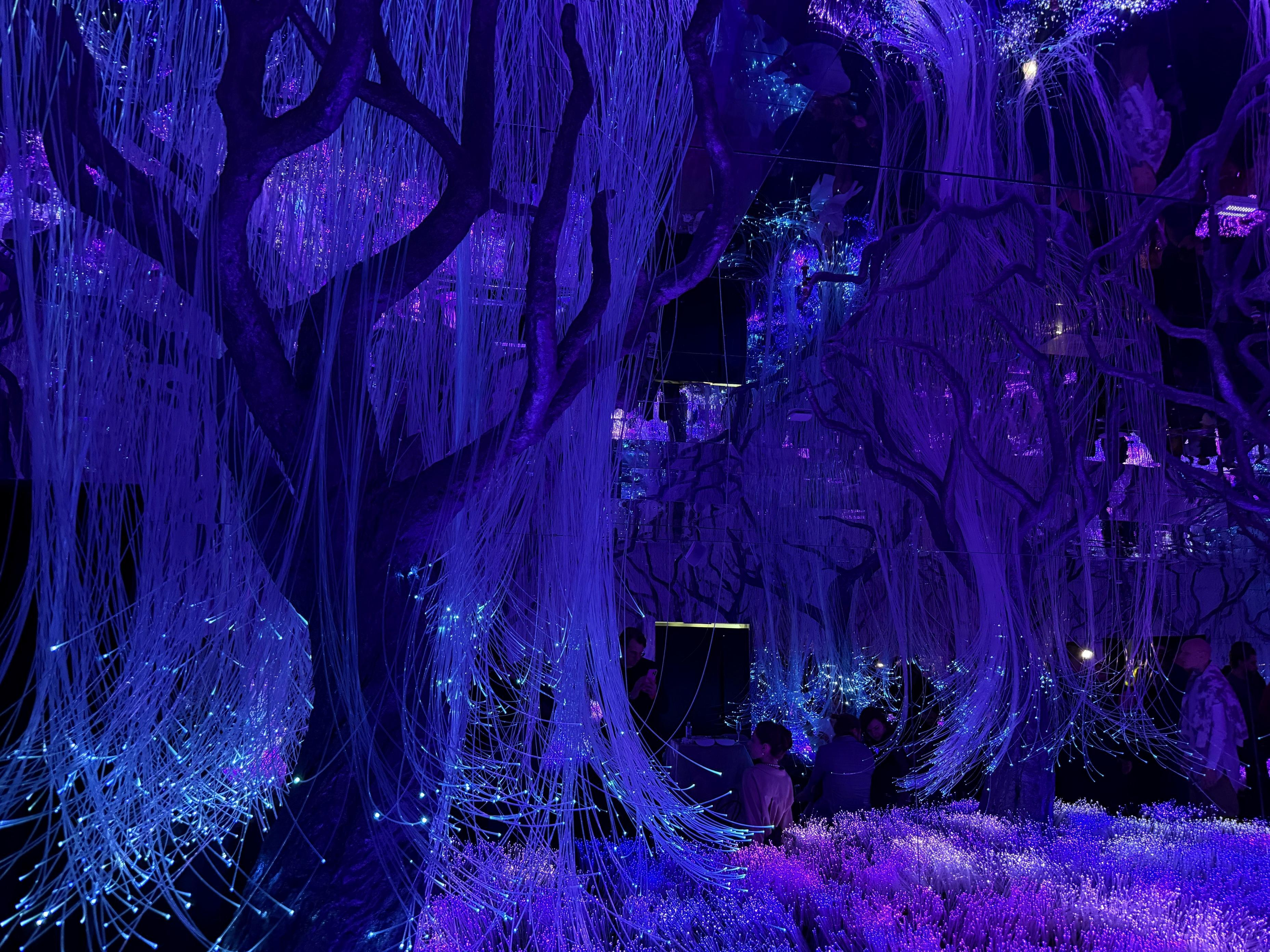 В Петербурге открылось фиджитал арт-пространство Futurione: фото