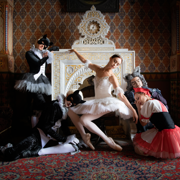 Балет «Спящая красавица» с экскурсией по Владимирскому дворцу со скидкой до 40%