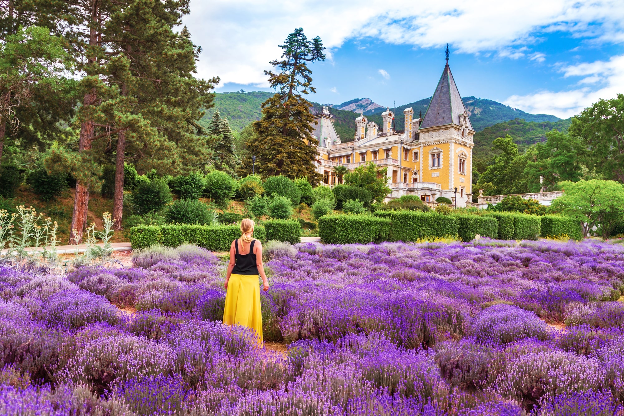 Цветочные маршруты России: где любоваться лавандой, розами, подсолнухами и лотосами