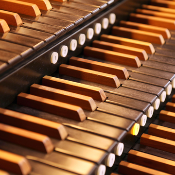 Органный концерт и экскурсия «Гендель. Музыка на воде. Бетховен. Лунная соната. Моцарт, Лакримоза» со скидкой 40%